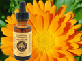 Calendula-Kräuteröl für trockene Haut.